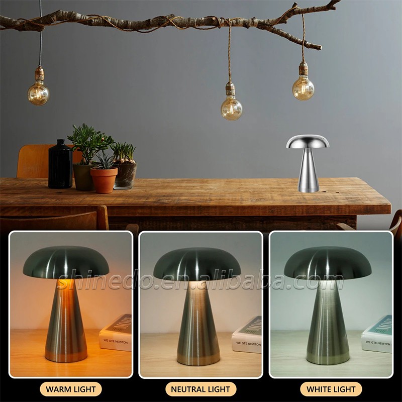 Creative New Led Table Lamp Dimming for Hotel Bedroom Bedside Living Room Decoration Lighting SD-SR486