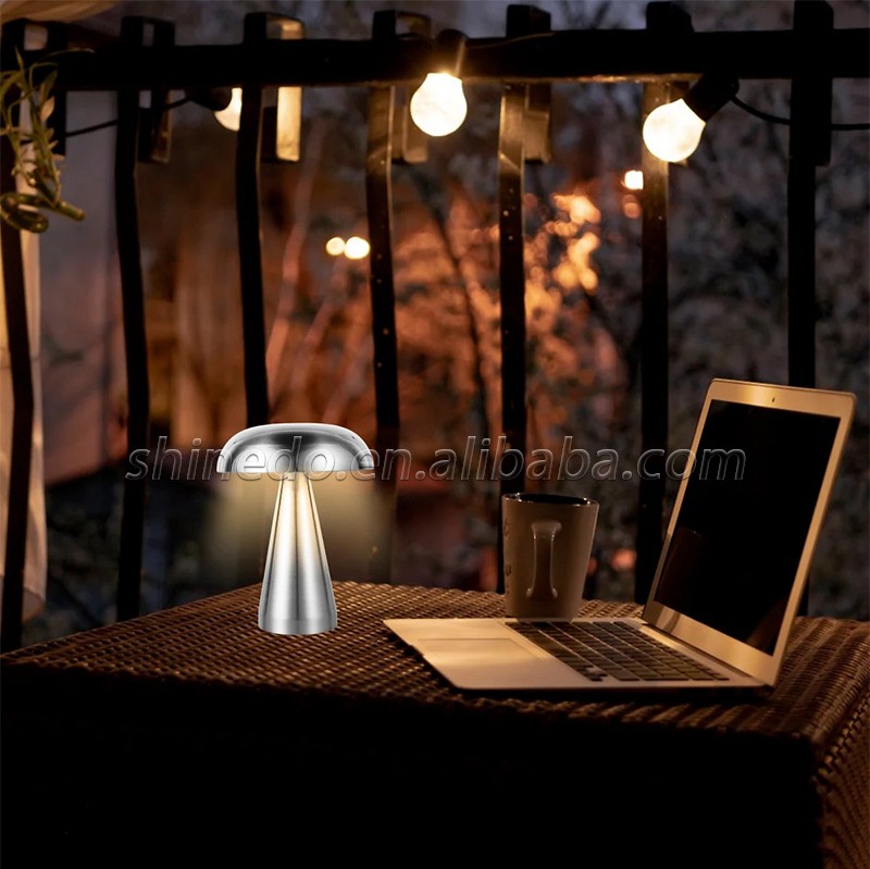 Creative New Led Table Lamp Dimming for Hotel Bedroom Bedside Living Room Decoration Lighting SD-SR486