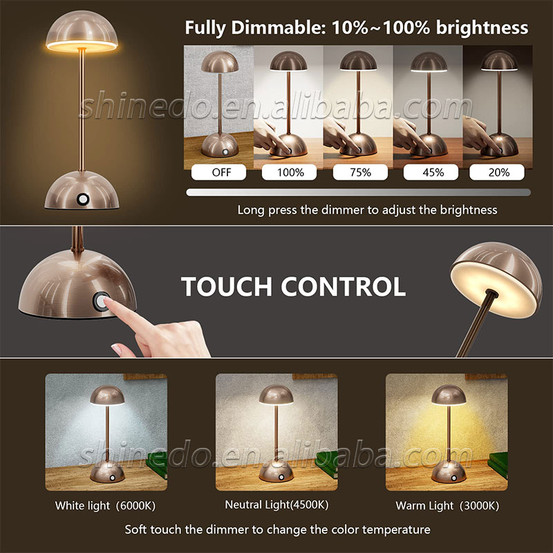 Eye protection night light Creative restaurant bar lamp led metal Nordic table lamp Bedroom bed USB charging light SD-SR531