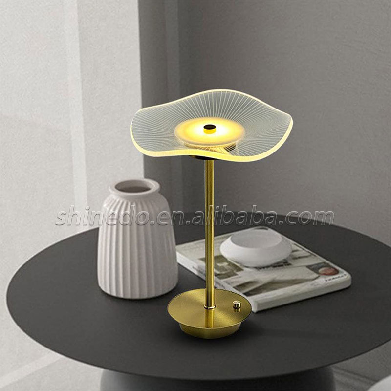 Rechargeable Table Lamp Desktop Night Light Touch Atmosphere Light USB Camping Light Outdoor Home SD-SR573