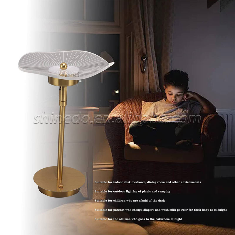 Rechargeable Table Lamp Desktop Night Light Touch Atmosphere Light USB Camping Light Outdoor Home SD-SR573