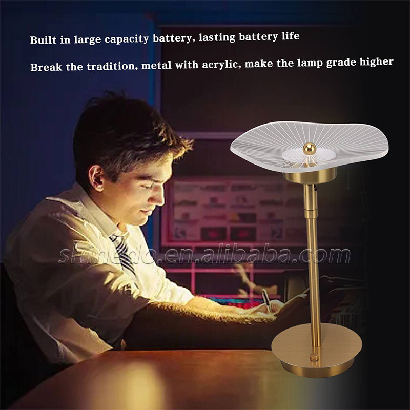 Rechargeable Table Lamp Desktop Night Light Touch Atmosphere Light USB Camping Light Outdoor Home SD-SR573