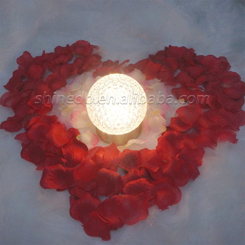 LED Nordic style creative crystal table lamp Nightlight by the bed of the bedroom Birthday present for girlfriend SD-SR589