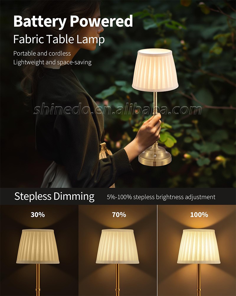 Modern Table Lamp LED Portable USB Touch Switch Night Light Hotel Desk Lamps for Living Room Restaurant SD-SR