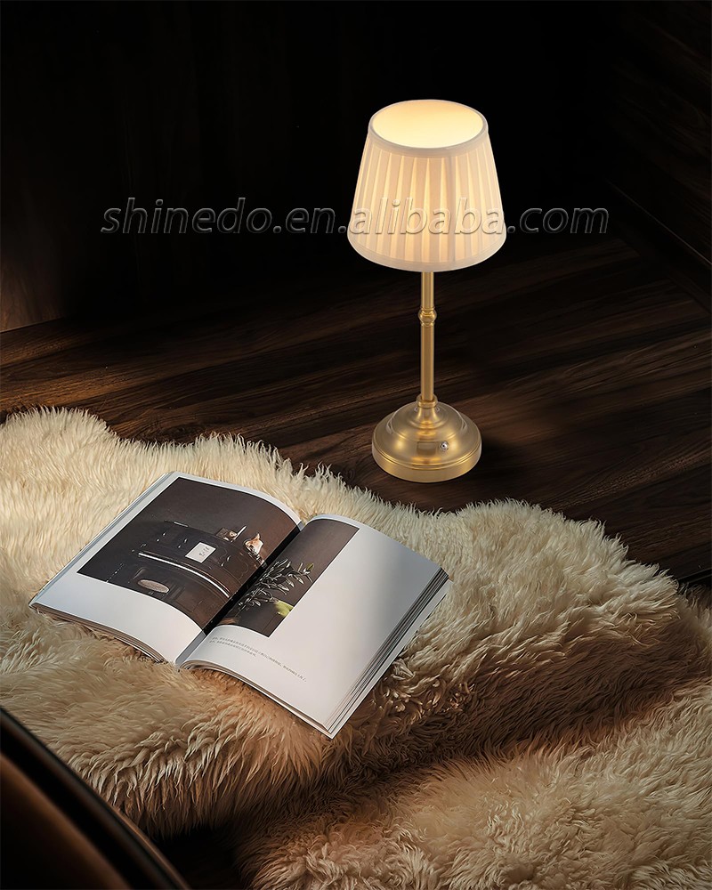 Modern Table Lamp LED Portable USB Touch Switch Night Light Hotel Desk Lamps for Living Room Restaurant SD-SR