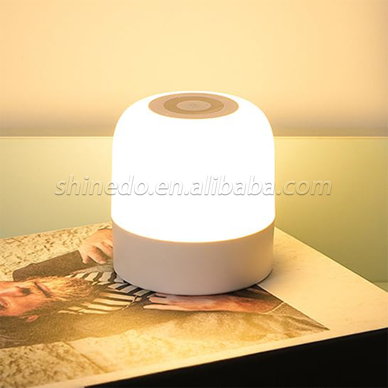 Portable Usb Led Light Desk Kids Gift Silicone Light Rechargeable Bedside Table Lamp Decor Color Changing Soft Night Lights SD-SR1015