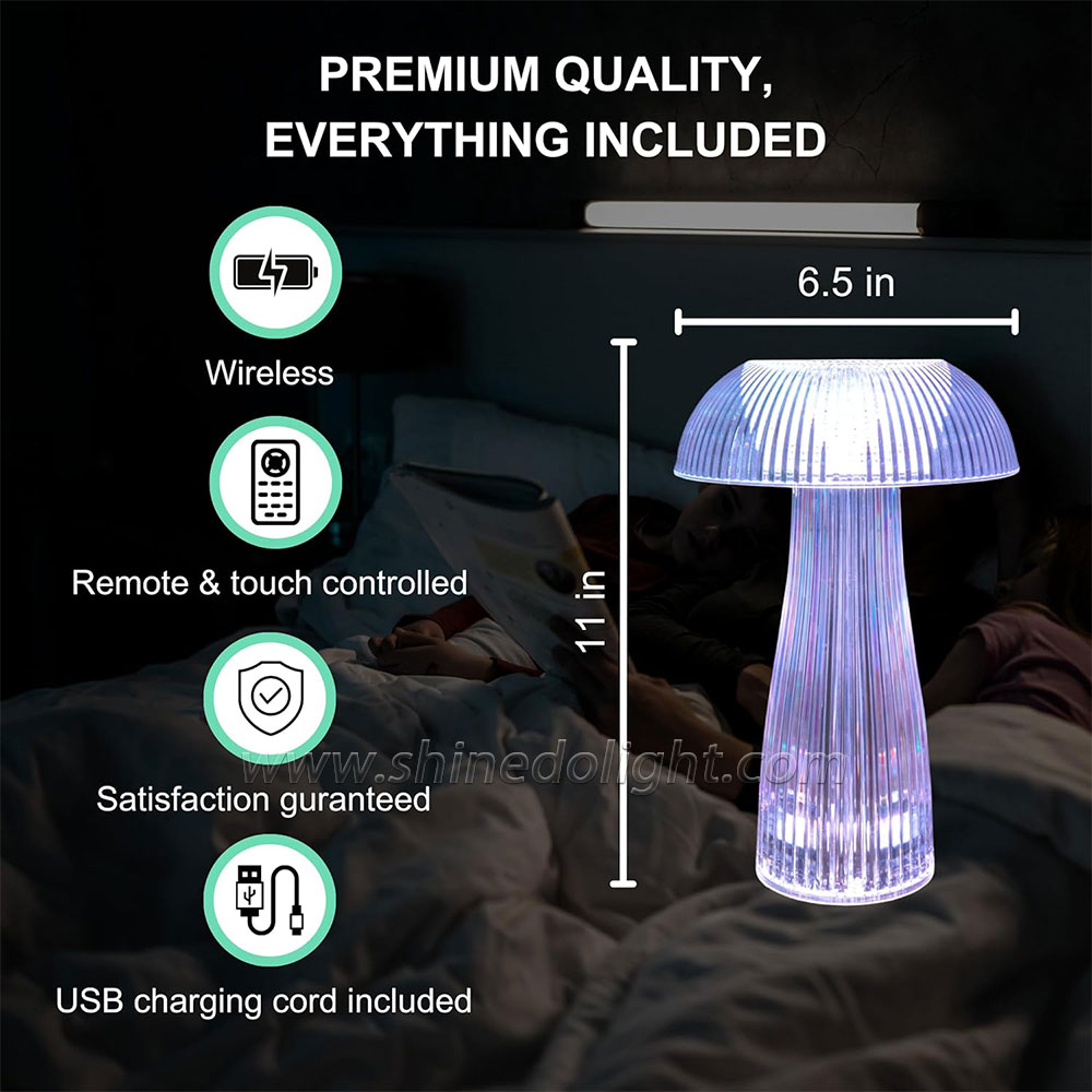 Portable LED Table Lamp Brightness Touch Control Rechargeable Night Light Table Lamps for Bedroom SD-SR477