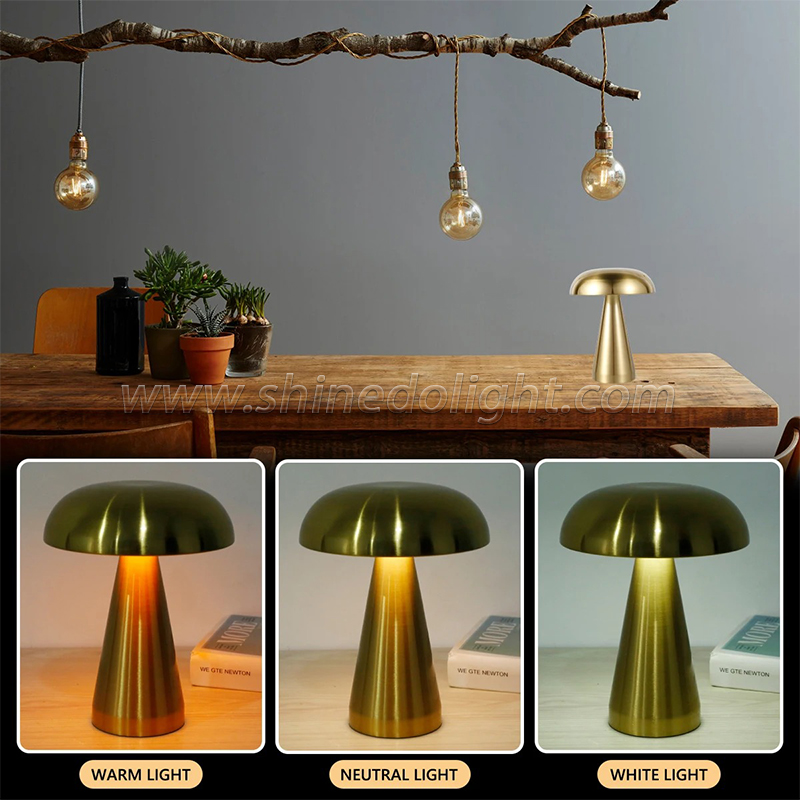 Creative New Led Table Lamp Dimming for Hotel Bedroom Bedside Living Room Decoration Lighting SD-SR486