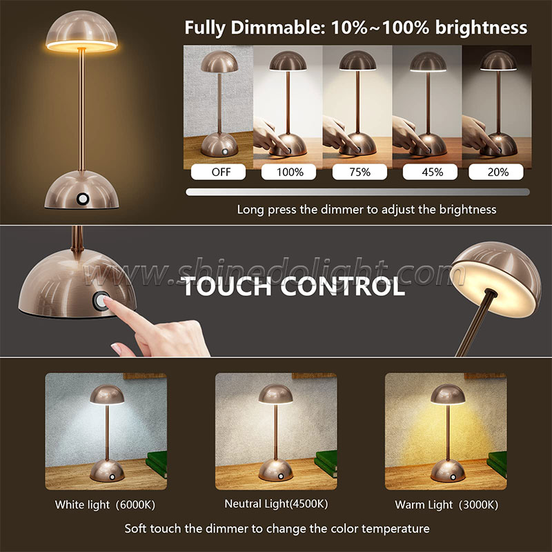 Eye protection night light Creative restaurant bar lamp led metal Nordic table lamp Bedroom bed USB charging light SD-SR531