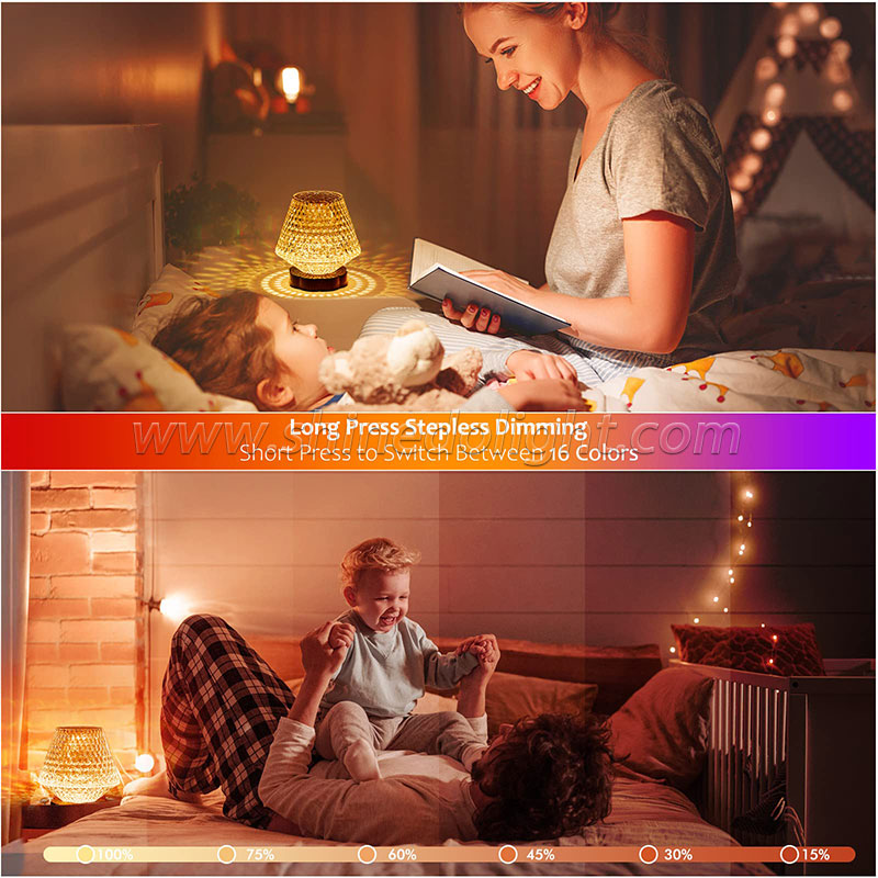 Crystal Night Light LED Lamp Projection Night Light USB Charging Touch Color Changing Room Decoration Atmosphere Table Lamp SD-SR540