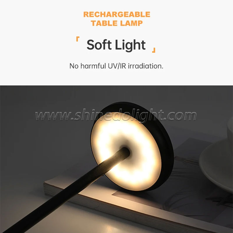 Bedside Touch Control Table Lamp Golden Decor Thinker Statue LED Table Lamp With USB Port Home Living Room Office Shelf Decor SD-SR560