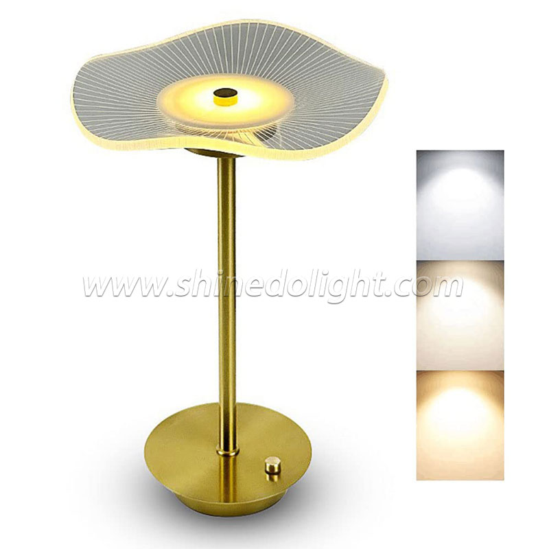 Rechargeable Table Lamp Desktop Night Light Touch Atmosphere Light USB Camping Light Outdoor Home SD-SR573