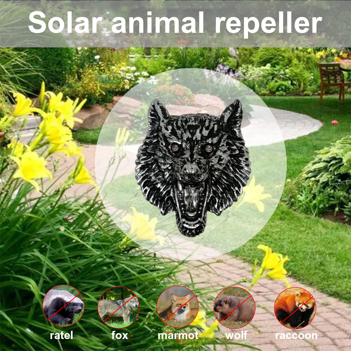 Solar Wolf head rat repellent driver to repel wild animals The repellent is used to protect the yard