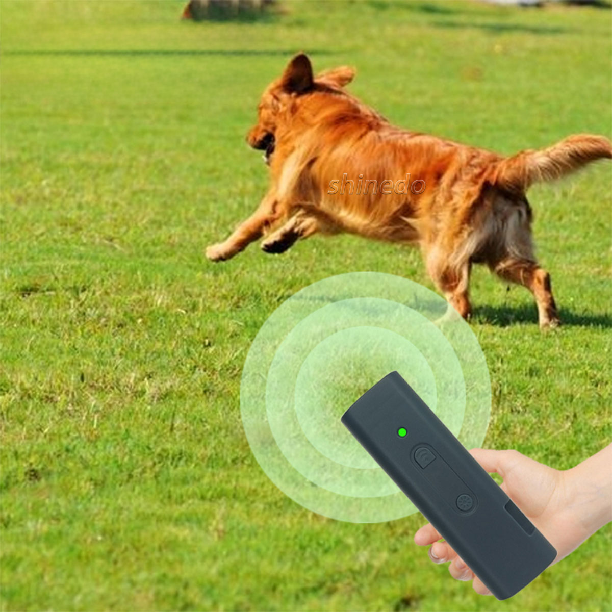 Handheld ultrasonic dog repellent for outdoor protection against dog bites